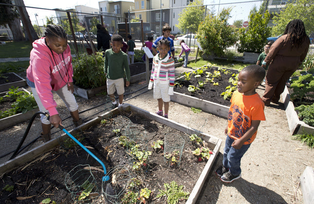 Acta Non Verba: Youth Urban Farm Project