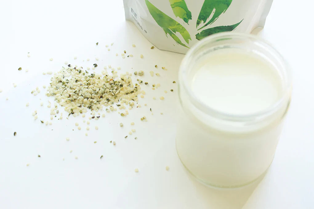 How to Make Homemade Hemp Milk