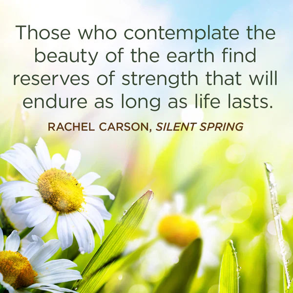 Celebrating Earth Day 2015